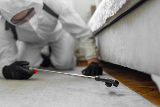 Professional Emergency Pest Control technician working in Town and Country, WA