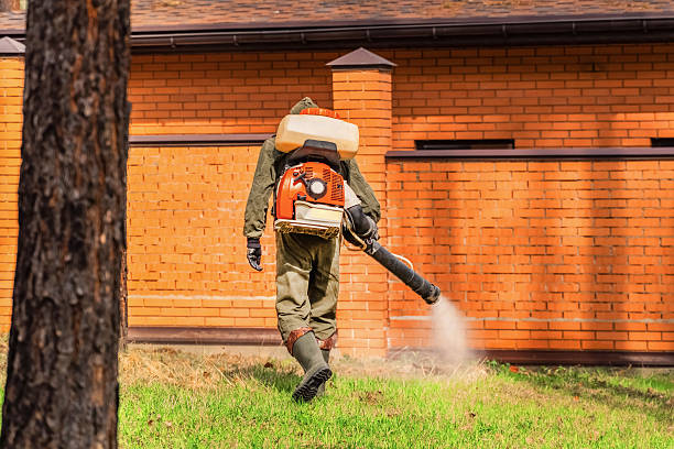 Trusted Cockroach Control service in Town and Country, WA - Nex Pest Control